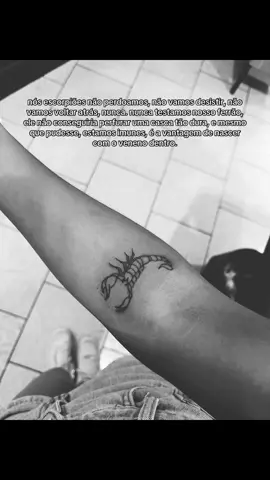 🦂#escorpiao #visavis #zulemazahir 