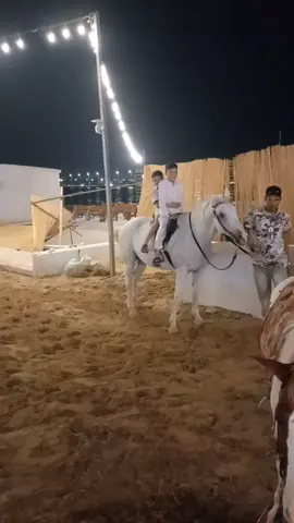 #bananabeach#saudiarabia🇸🇦 @Ikramkhan @Engineer @Hazrat Ali @Imran Ud Din @Iqbal Hussain @nasarali7157 