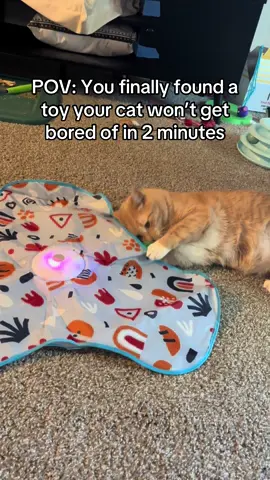 #cat #cattoy #dealsforyoudays #catvideo #spotlightfinds #pettoy 