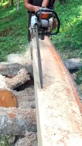 #sawmill #makinglumber #woodworking #chainsawmill #stihlchainsaw #treecut #woodslab #sawmilllife #chainsawskills #satisfyingcut #chainsaw #lumberjack #woodwork #sawyer #cuttingtrees #lumber #ms070 #wood #treesurgeon 