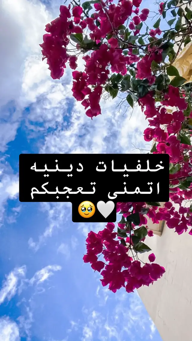 #خلفيات #فخمه #العراق #ابل #tiktok #ايفون #fyp #a #ا #يالله #استغفرالله #محمد_رسول_الله #bs #الشعب_الصيني_ماله_حل😂😂 