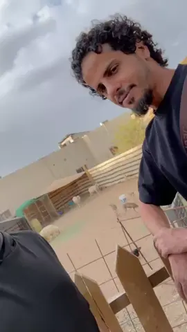 الرابر كلاش ملك من ملوك الراب
