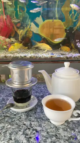 Mấy năm qua rồi em anh không gặp nữa 
