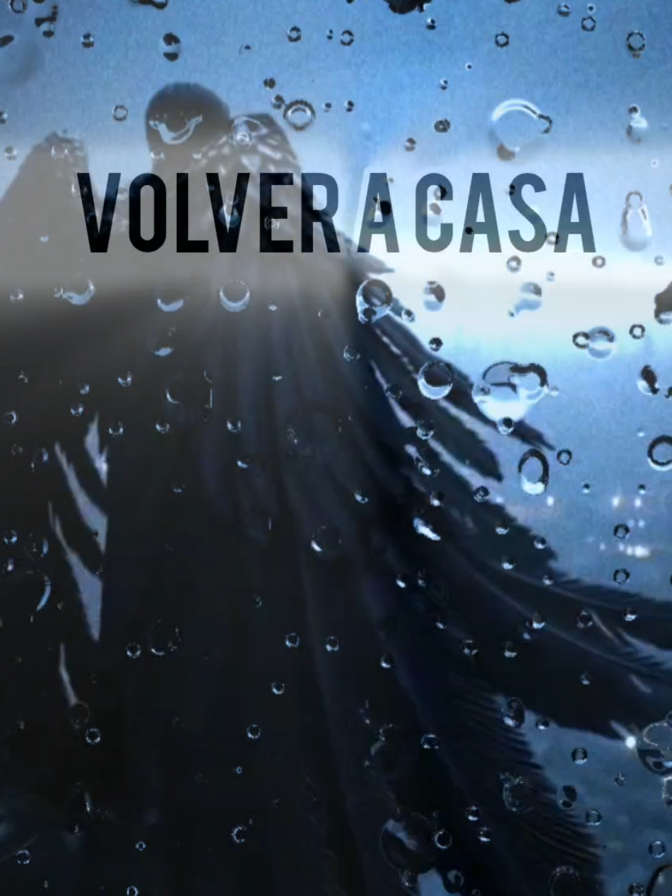 VOLVER A CASA  #music #argentina🇦🇷 #lyrics #musica #lyricsvideo #letter 