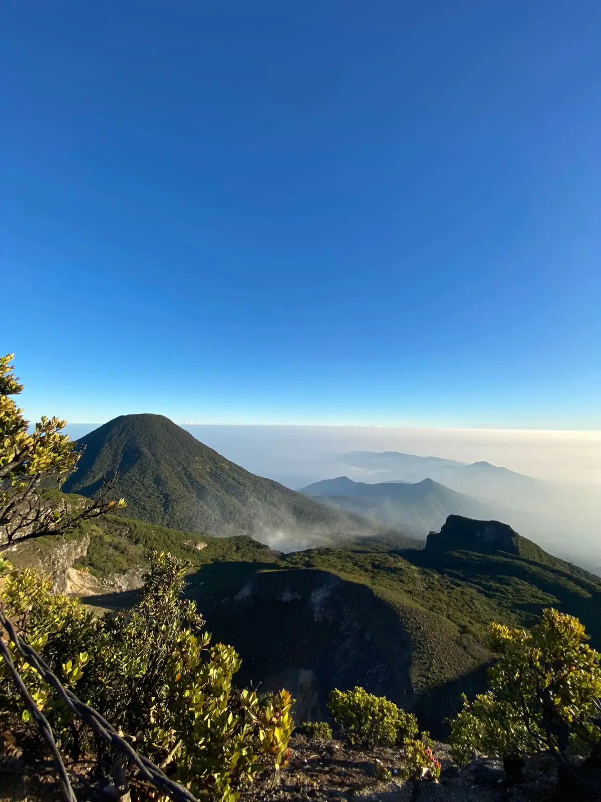 Untuk mencapai keindahanmu ternyata perlu kaki yang kuat🥹🙌🏻 . . . #gununggede2958mdpl⛰️  #2958mdpl  #gununggedeviaputeri  #mountain  #pendakiindonesia🇮🇩 