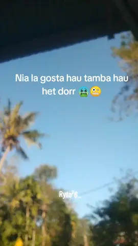 Lafaek suai