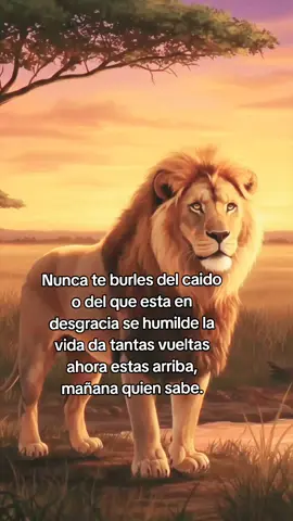 #creatorsearchinsights nunca te burles de la desgracia de los de más el mundo da tantas vueltas #reflecionesdelavida #motivar #enseñanza #frases #concejos #motivacional #aprendisaje #nunca #te #burles #de#la #desgracia #ajena #creciendoentiktok #fypシ゚ #paratiiiiiiiiiiiiiiiiiiiiiiiiiiiiiii 