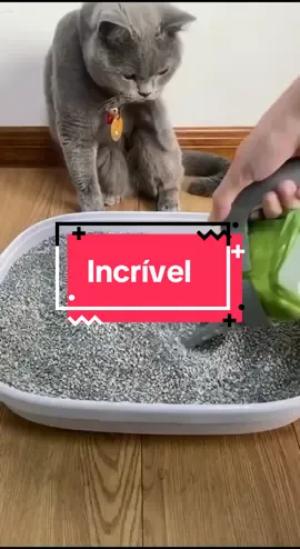 Pá Cata Caca Coletora Coco Fezes Com Saco Pet Cães E Gatos ##pets##viraliza
