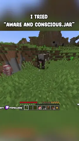Not gonna lie I was actually scared half the time 😭😭😭#fypシ #horrortok #Minecraft #smallcontentcreator #scary 