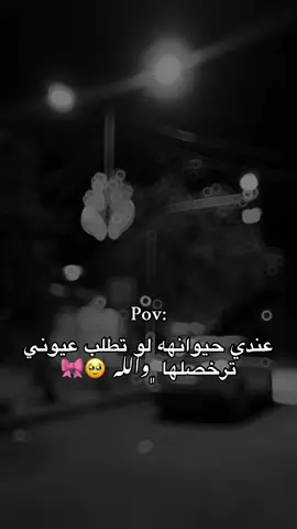 ترخصلها والله🥹🎀#fyp #foryou #explore #الباب 