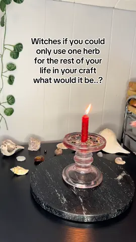 I’ll go first! Dandelions 🤭 what’s yours and feel free to share why too if you want to!  #fypage #herbs #witchcraft #spirituality #witchtok #witches #herbalism #herbalmagic #plants #witchy 