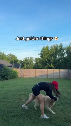 He usually only drops it if I have another ball in hand. Is anyone else’s goldens ball obsessed? #fyp #dogsoktiktok #goldenretrieverlife 
