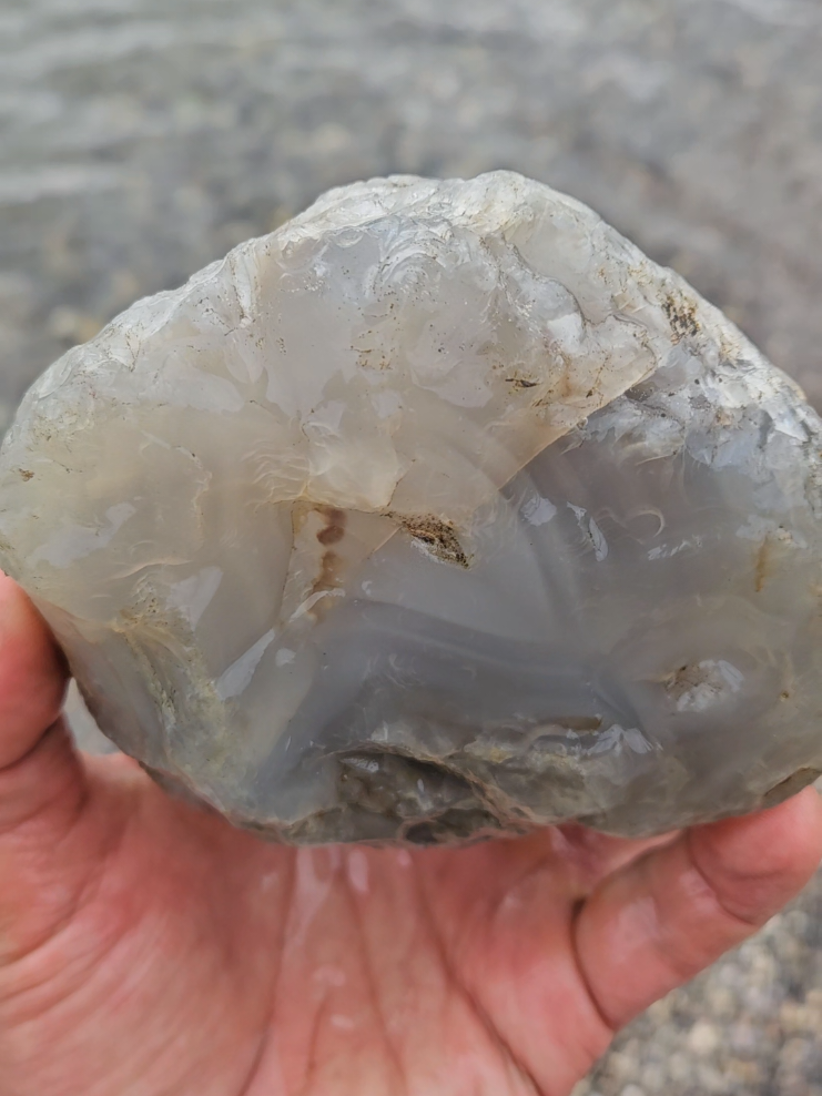Epic CHUNKY agate from my last hound, found my way down to the lake another way but had to traverse some rough terrain, so worth it for this beast. #theagatemagnet #beachcombing #rockhound #gemstones #agate #lake #britishcolumbia 