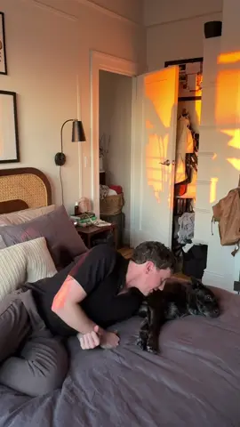 Maybe my favorite time of day - getting home from work to my little girl 🥹 #dogs #fyp #sunset #apartment #nyc #dogsoftiktok 