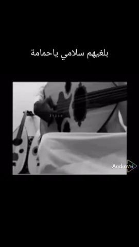 #صقر_القحطاني_محمد_القحطاني