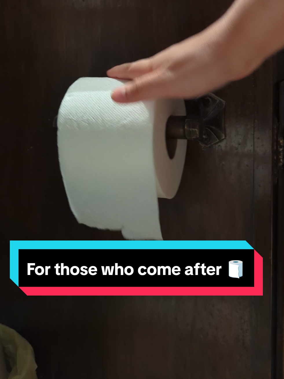 For those who come after! 🧻 #clairobscurexpedition33 #expedition33 #clairobscur #GamingOnTikTok #gaming #fyp 
