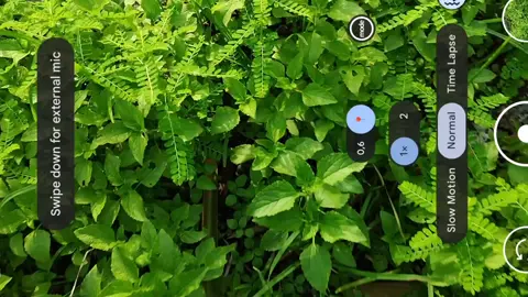 1080p60fps#cinematic#redmi#60fps