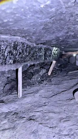 Black diamond mining⛏️  #coalminer #blackdiamond #gold #minerals #support #plzdontunderviewsmyvedios #coalmine #blackdiamond #gold 