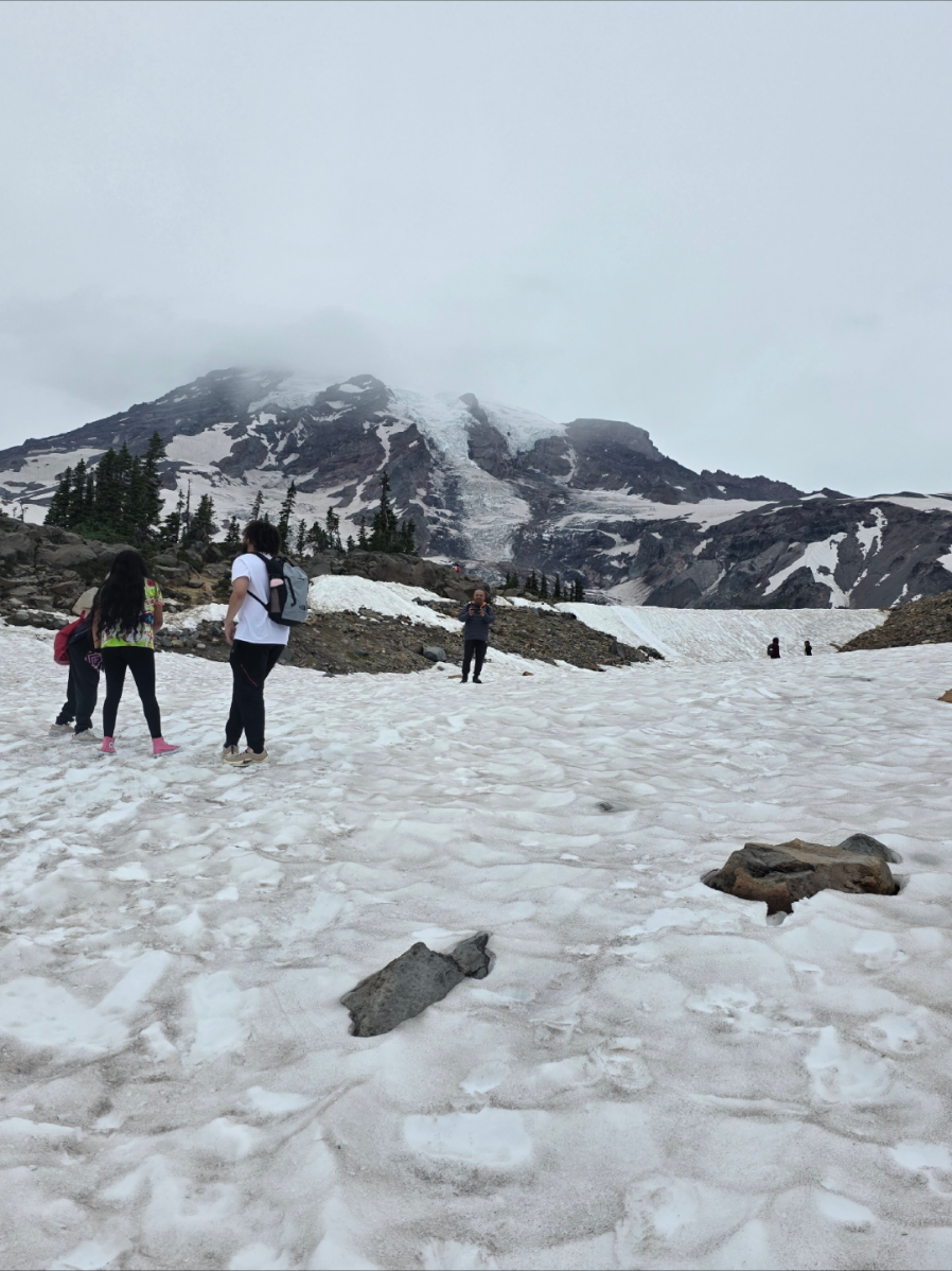 #hermoso vista #mountrainier  #mountrainiernationalpark #fypシ 