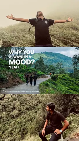 හන්තාන සිහිනය....🍃🤍 #universityofruhuna#flypシ#hanthana#hanthanasihine#unilife#nature#foryou#onemillionaudition#foryoupage#hanthana_mountain