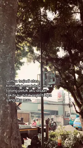 #fypシ゚ #xyzbca 
