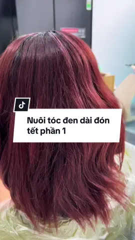 Hành trình nuôi tóc đen dài đón Tết Phần 1 #thuynguyenday 