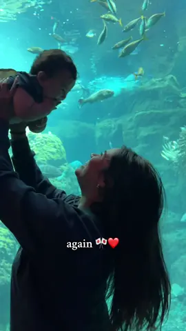 from our first solo trip to japan together! i can’t wait to go back ❤️ #toddlermom #boymom #travelingwithtoddler #japan #fyp #MomsofTikTok #momlife #momtok 
