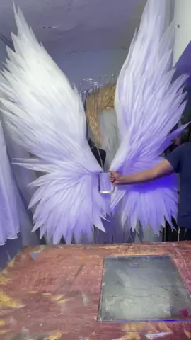 Alas #alasdeangel #alasdevictoria #alas #victiriasecret #tiktok #malefica 