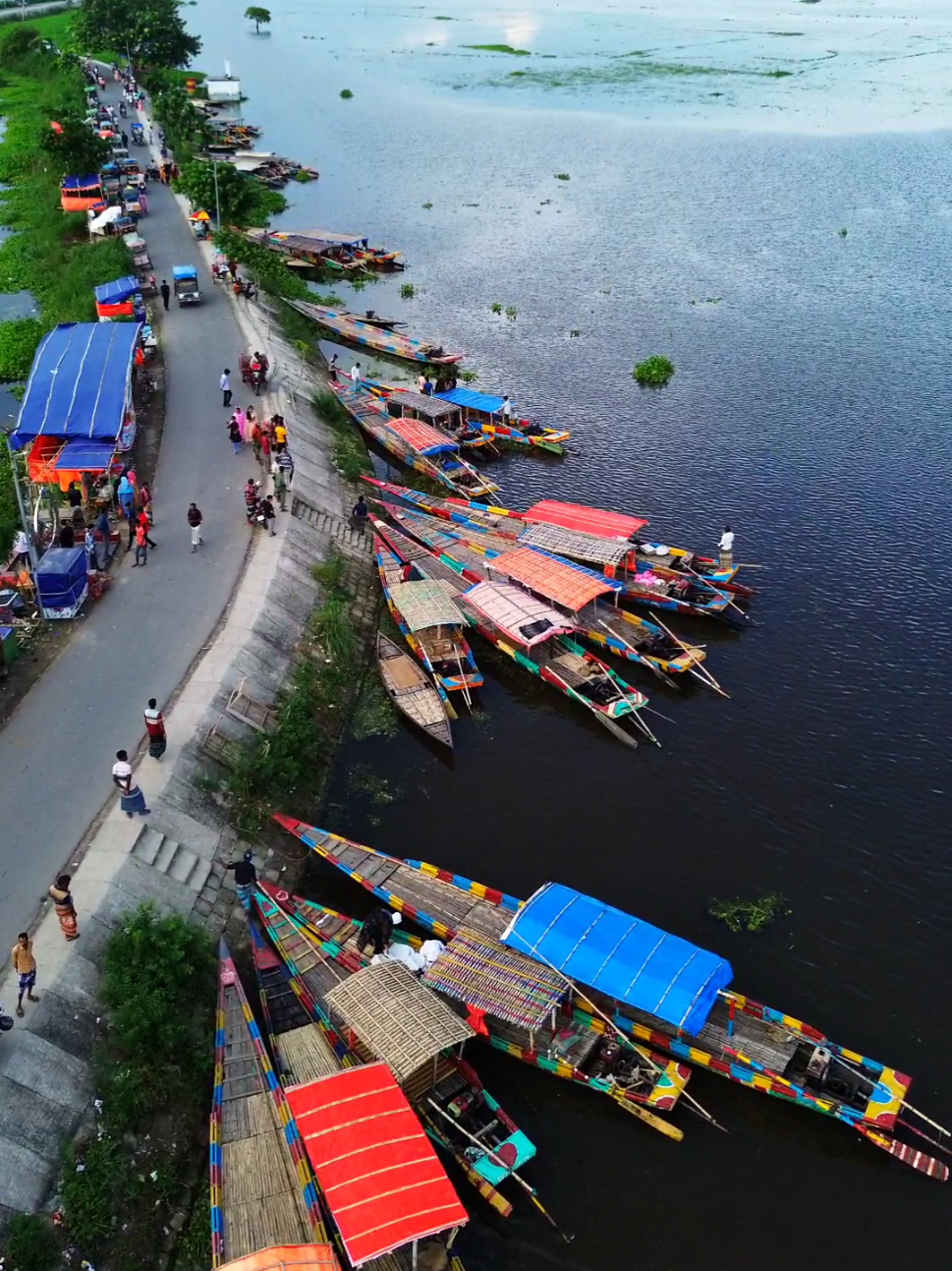 হাসাইগাড়ি বিল শুধু কাপল দিয়ে ভরা 😨😨 #RajshahiDivision #dronevideo #hasaigari_naogaon🇧🇩 