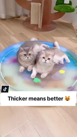 Get this Cat Water Bed 2.0 for your cat! 