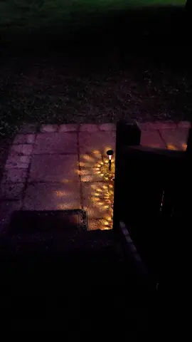 Definitely a choice between colors. I love the design they cast out. #SolarLights #PathLights #GardenLights #ColorChangingLights #OutdoorLighting #SolarPathLights #YardDecor #TikTokMadeMeBuyIt #LightUpYourLife #HomeImprovement #BackyardGlowUp #LandscapeLighting #SolarGlow #TikTokFinds #SummerVibes #EasyUpgrade #OutdoorDecor #SolarPower #LightingGoals #GardenInspo #DealsForYouDays 