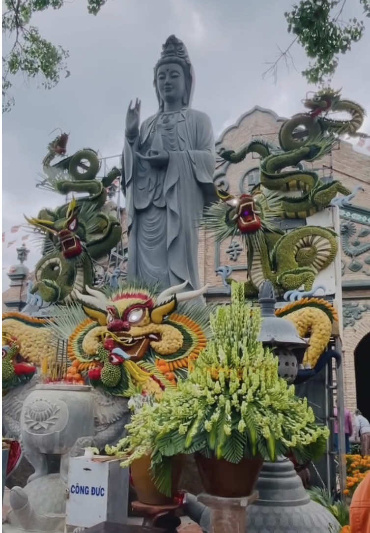Ta chọn an, không chọn thắng #vetranh #trend #tranhlabode #quinhon #chuagokentayninh 