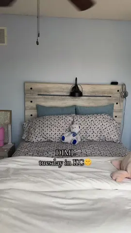 Happy Tuesday everyone