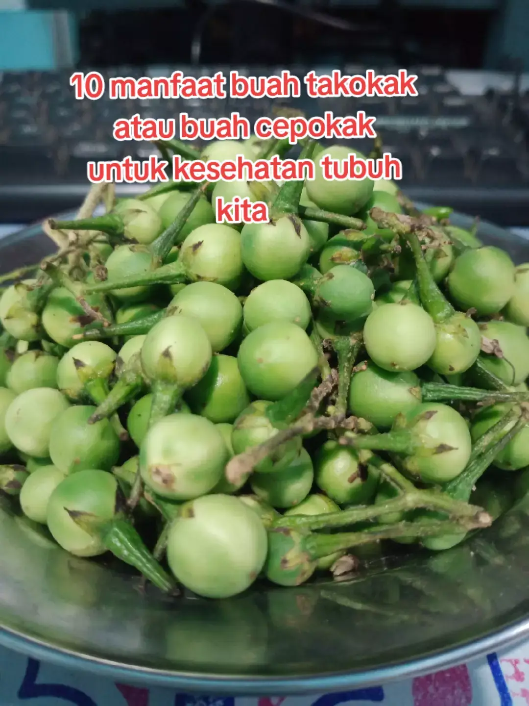 10 manfaat buah takokak atau buah cepokak Cepokak (terung pipit, takokak) atau yang memiliki nama latin Solanum torvum mengandung kaya akan serat, protein, vitamin A, vitamin C, kalsium, zat besi, zinc, mangan, copper, dan juga antioksidan seperti flavonoid, alkaloid, tannin, dan saponin #manfaatcepokak #takokak #rimbang #cepokak #terongpipit  #salamsehatselalu🙏🤗 