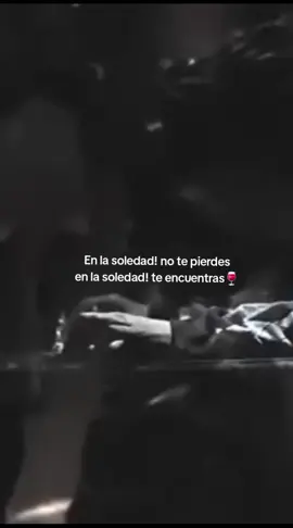 #canserbero #canserbero #canserberoporsiempre #paraty 
