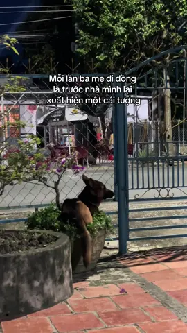 Cả đời người, chúng ta có thể mong đợi nhiều thứ. Còn tụi nhỏ, chỉ dành cả cuộc đời để mong đợi mỗi chúng ta.