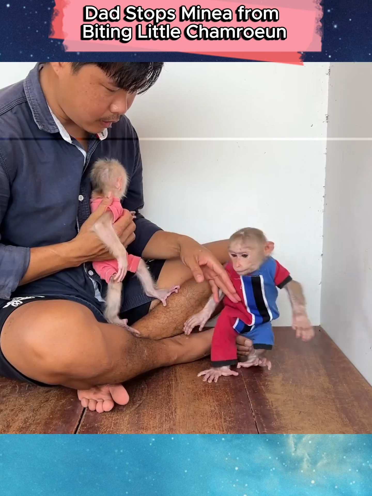 Dad Protects Chamroeun from Trouble #Monkey #CuteMonkeys #MonkeyLife #WildlifeWednesday #AnimalLovers #PrimatesOfTikTok #FunnyMonkeys #NatureLovers #ZooAdventures #MonkeyMagic