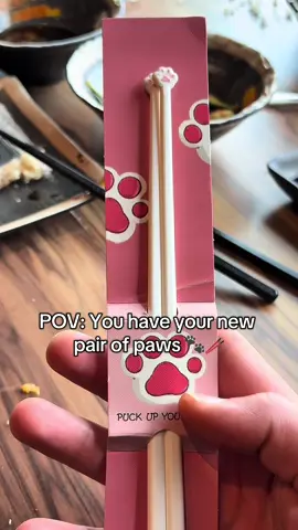These are a necessary buy 🥰🐱 #chopsticks #catlover #sushilover #fypviral 