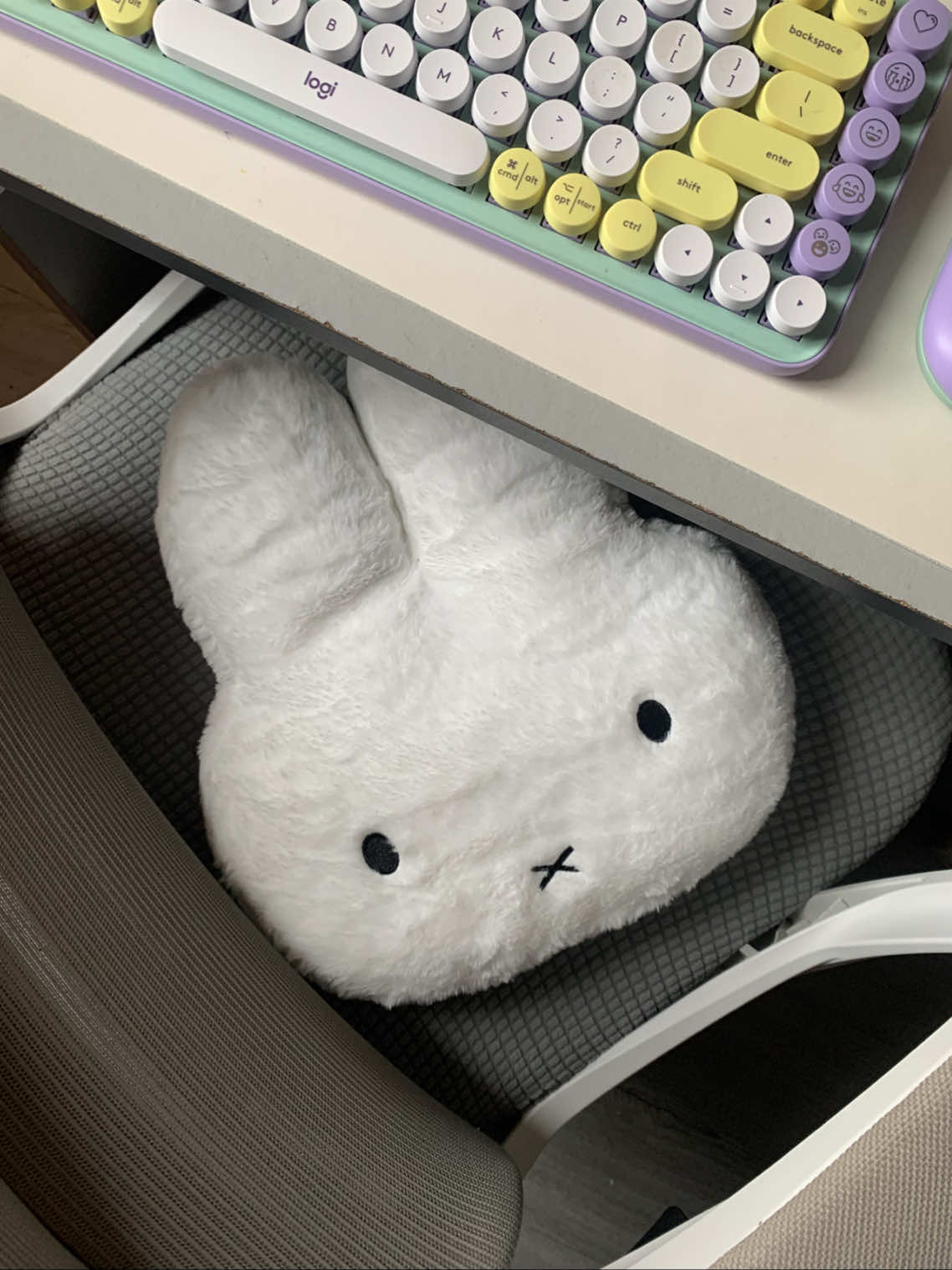 SO CUTE 🐰 #miffy #fyp 