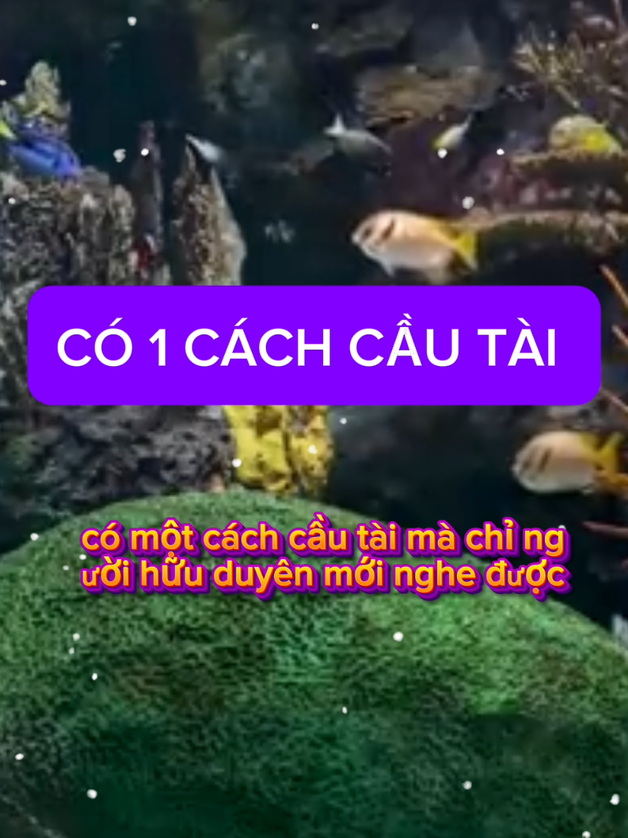 Hữu duyên cho ai nghe được #tailoc #mayman #yenlinh 