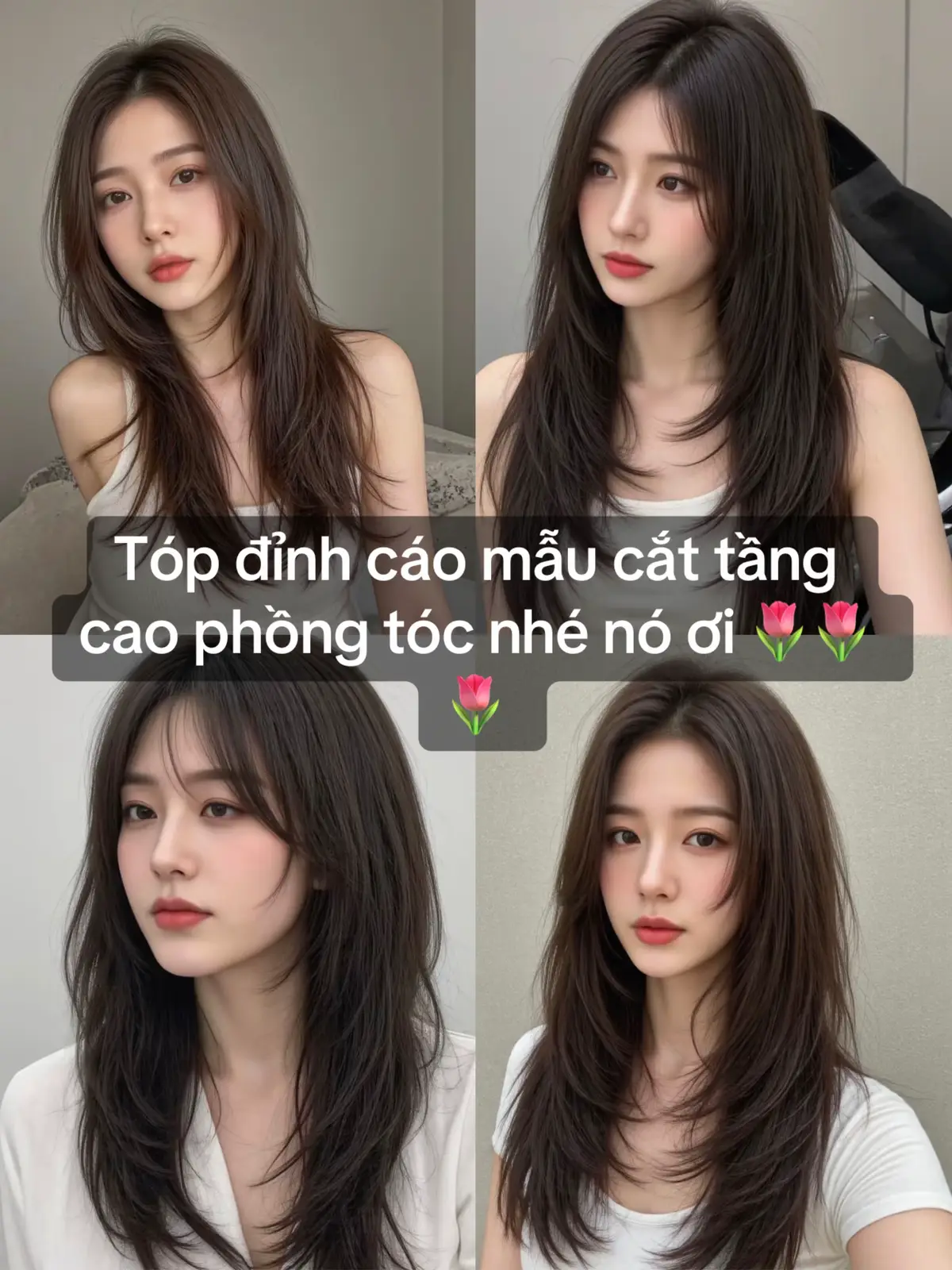 Vài mẫu cắt layer đẹp trong năm #xhuonggggg🐰 #lamtocgiahssv #layerredhaircut #layerredhaircut #lamtocgiahssv 