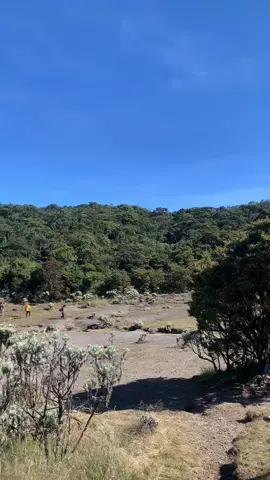 lembah mandalawangi #gunungpangrango 