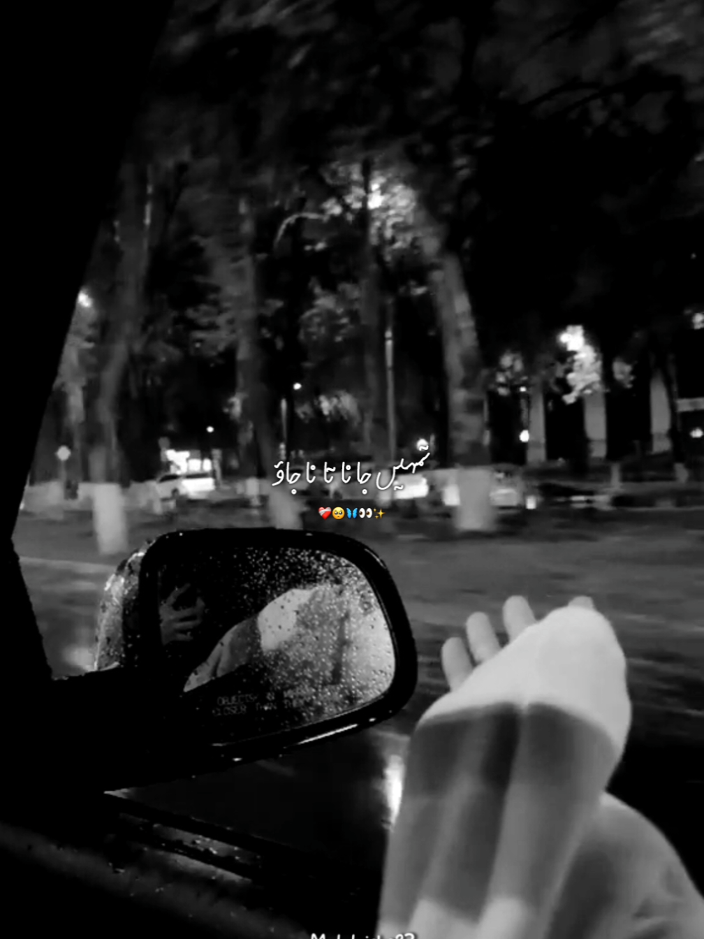 Ab text ni kro gaa 🥺❤️‍🩹✨ #foryoupage #viraltiktokvideo #fypシ゚ #poetrylovers #trendingvideo 