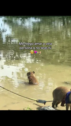 #fyp #video #paratypreciosa🥺💘