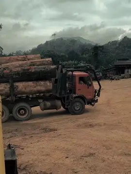 #loggingtruck3836 #oggingtruckkalimantan #duniabalak #hutanindolestarirayatimber #jetdarat 