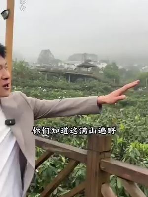 這款純天然雲霄竹鹽枇杷乾真的好吃！果味濃鬱，清涼爽口！老人小孩都愛吃！酸酸甜甜！  竹鹽枇杷幹
