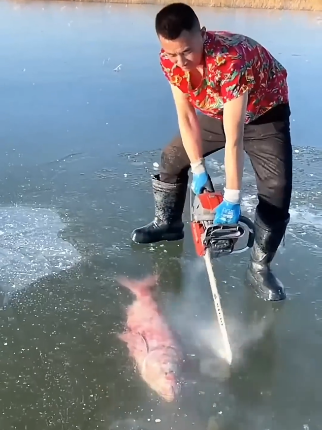 Amazing new viral video #viralvideo #shorts #newvideo #viraltiktok #short #fish 