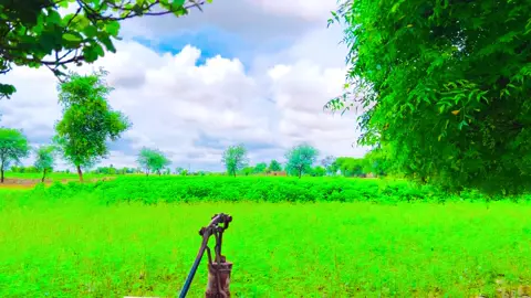 sajna we 🥰#میرا_سہنا_پینڈ_82_تحصیل_یزمان_منڈی💫🌾🌱🌈🖼️ #82 #sada_apna_pind_82 #yazmanmandi #yazman_mandi #shoaib_kutwaal #wazir_shoaib #village #villagelife #پِنڈاں_والے #saraikistan #gaon #pakistan 
