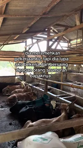 #fyp #storywa #story #sapi #sapipotong🐂🐂 #Peternakmudah 