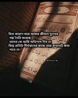::বিনা কারণে যারা আমার জীবনে দুঃখের গল্প তৈরি করেছে তাদের কে আমি অভিশাপ দিব না, কিন্তু প্রতিটা দীর্ঘশ্বাসের কাছে তারা কখনোই ক্ষমা পাবে না।?#islamic_vi